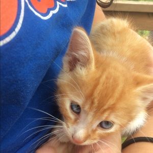 Meet your Posher, Tamara